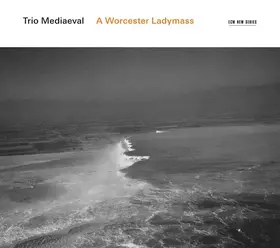 Couverture du produit · A Worcester Ladymass