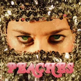 Couverture du produit · Impeach My Bush