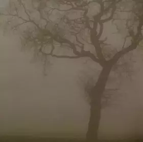 Couverture du produit · Silver by JESU (2006-04-11)