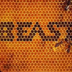 Couverture du produit · Beast