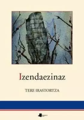 Couverture du produit · Izendaezinaz: 100 (Saio eta Testigantza)