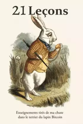 Couverture du produit · 21 Leçons: Enseignements tirés de ma chute dans le terrier du lapin Bitcoin (French Edition)