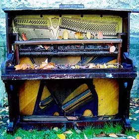 Couverture du produit · We Know About The Need [Import]