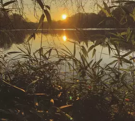 Couverture du produit · Photosynthesis