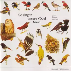 Couverture du produit · So Singen Unsere Vögel Folge 1