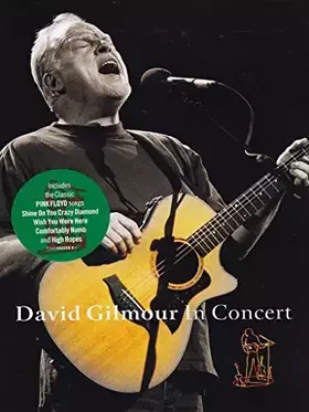 Couverture du produit · David Gilmour : En Concert au Royal Festival Hall de Londres (2002)