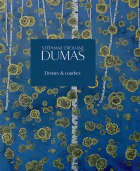 Couverture du produit · Stéphane Érouane Dumas: Droites & courbes
