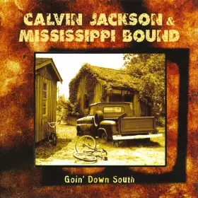 Couverture du produit · Goin' Down South 