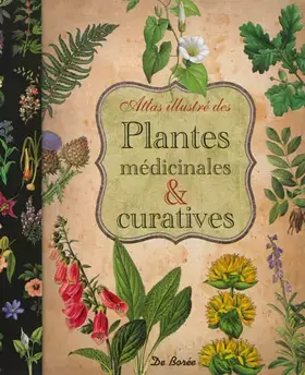 Couverture du produit · Plantes Medicinales et Curatives