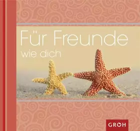 Couverture du produit · Für Freunde wie dich (Wunschüberbringer)