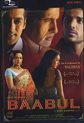 Couverture du produit · BAABUL - DVD