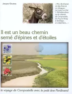 Couverture du produit · Il est un beau chemin semé d'épines et d'étoiles