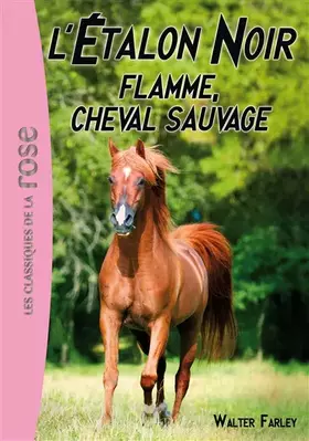 Couverture du produit · L'Étalon Noir 10 - Flamme, cheval sauvage