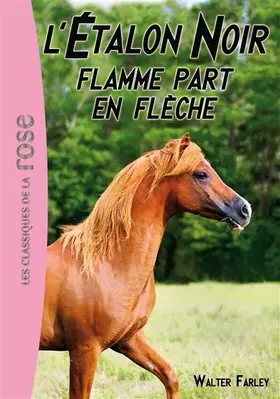 Couverture du produit · L'Étalon Noir 12 - Flamme part en flèche