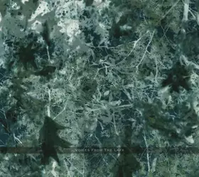 Couverture du produit · Voices From The Lake