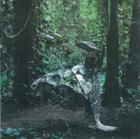 Couverture du produit · Donkey