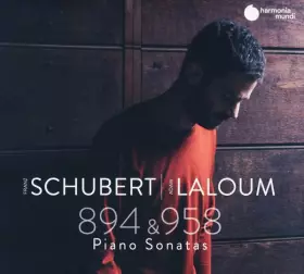 Couverture du produit · 894 & 958 Piano Sonatas