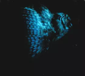 Couverture du produit · Rising Doom