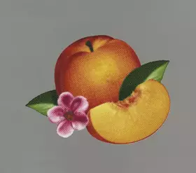 Couverture du produit · Bankrupt!