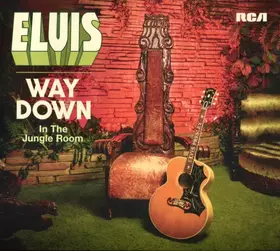 Couverture du produit · Way Down In The Jungle Room