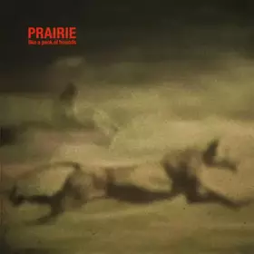 Couverture du produit · Like A Pack Of Hounds