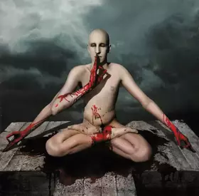 Couverture du produit · obZen