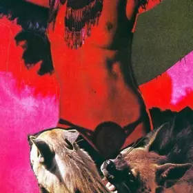 Couverture du produit · Heavy Deavy Skull Lover