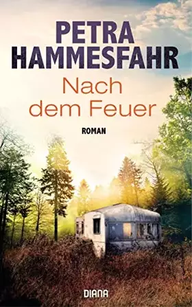 Couverture du produit · Nach dem Feuer: Roman