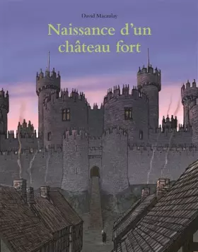 Couverture du produit · Naissance d un Chateau Fort