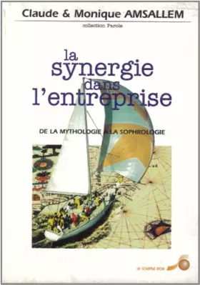 Couverture du produit · La synergie dans l'entreprise : De la mythologie à la sophrologie, dynamique de la performance dans l'entreprise
