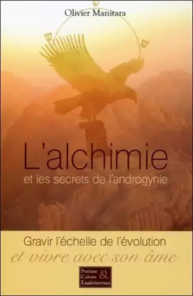 Couverture du produit · L'alchimie et les secrets de l'androgynie