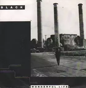 Couverture du produit · Black (2) Wonderful Life / Life Calls