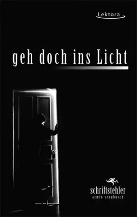 Couverture du produit · geh doch ins Licht (Prosa bei Lektora)