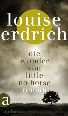 Couverture du produit · Die Wunder von Little No Horse: Roman
