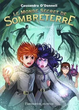 Couverture du produit · Le Monde secret de Sombreterre: Les âmes perdues (3)