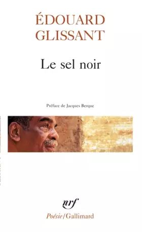 Couverture du produit · Le sel noir - Le sang rivé - Boises