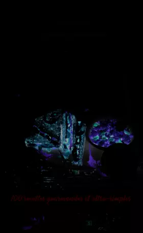 Couverture du produit · Mes petites recettes magiques sans gluten et sans lactose: 100 recettes gourmandes et ultra-simples