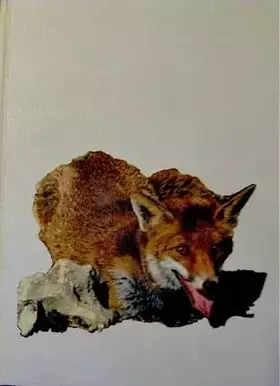 Couverture du produit · Le Roman De Renard