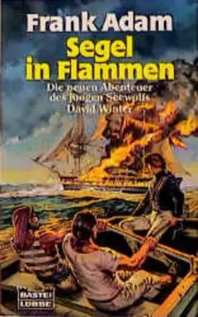 Couverture du produit · Segel in Flammen (Allgemeine Reihe. Bastei Lübbe Taschenbücher)