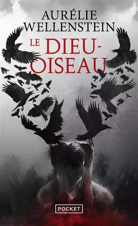 Couverture du produit · Le Dieu Oiseau