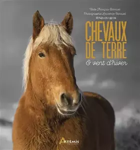 Couverture du produit · Chevaux de terre et vent d'hiver