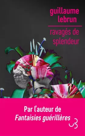 Couverture du produit · Ravagés de splendeur