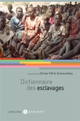 Couverture du produit · Dictionnaire des esclavages