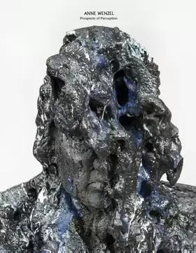 Couverture du produit · Anne Wenzel: prospects of perception