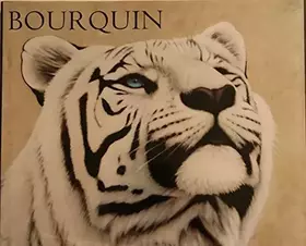 Couverture du produit · Remi Bourquin Peintures Récentes