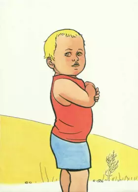 Couverture du produit · 4 histoires d'Amir : Coffret 4 volumes : Canards, chatons, mouche, tracteur