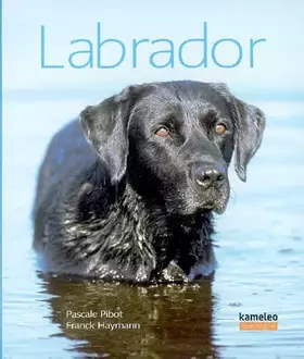 Couverture du produit · Labrador