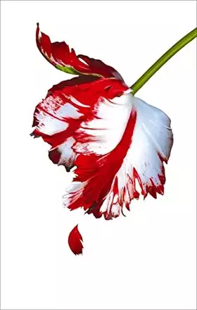 Couverture du produit · New Moon