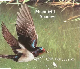 Couverture du produit · Moonlight Shadow