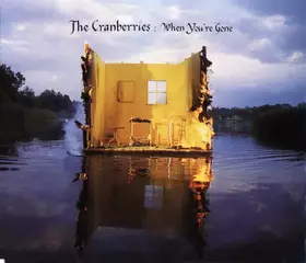 Couverture du produit · When You're Gone